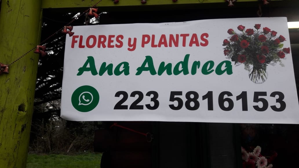 Ana Andrea Florería