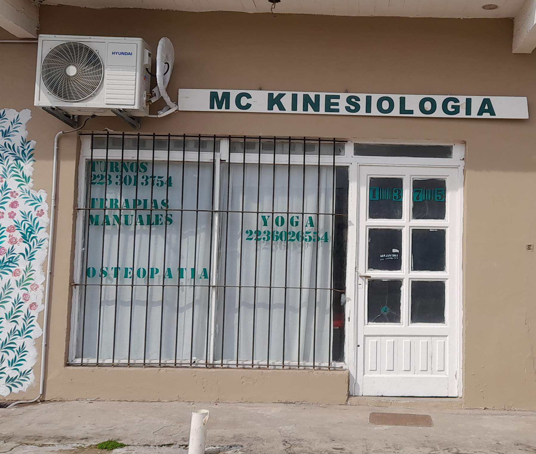 MC Kinesiología