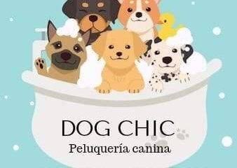 Dog Chic
