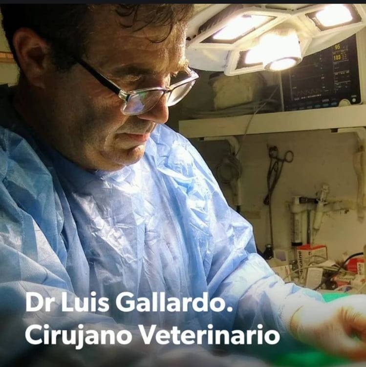 Veterinaria Gallardo Santa Clara del Mar