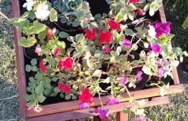 Vivero y Artesanías en madera “Max”