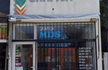 Gráfica_mds